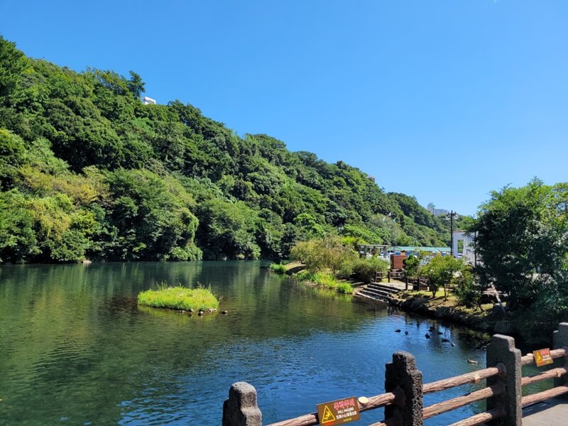 제주도-천지연-폭포-전경사진2