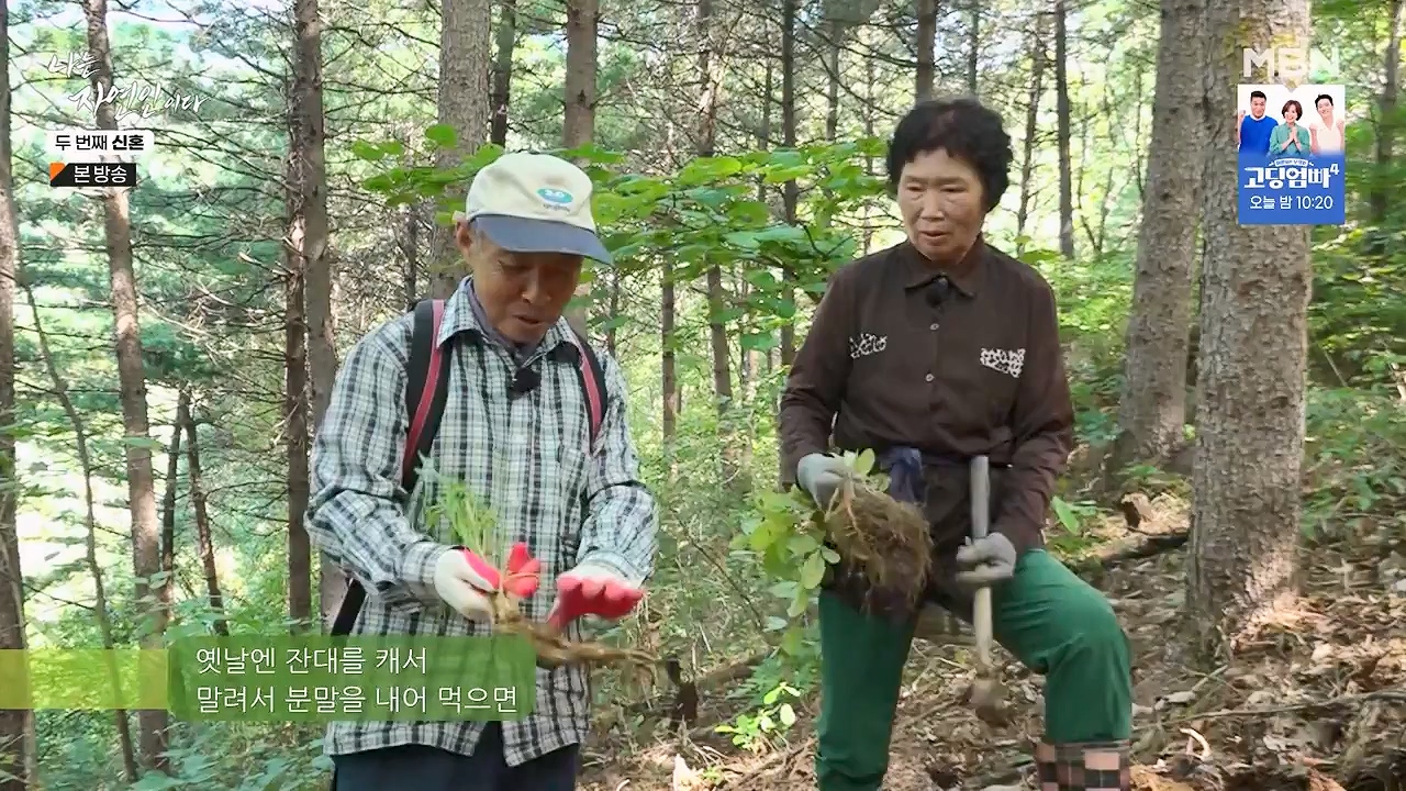 나는 자연인이다.E572.230921p-NEXT.mp4_20230921_202637.424.jpg
