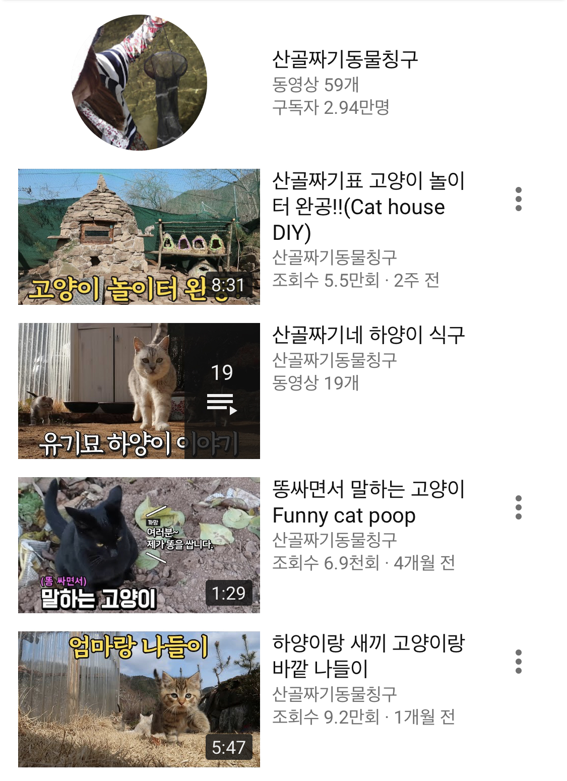  고양이 유튜브 추천 (고양이 집사의 구독 목록)