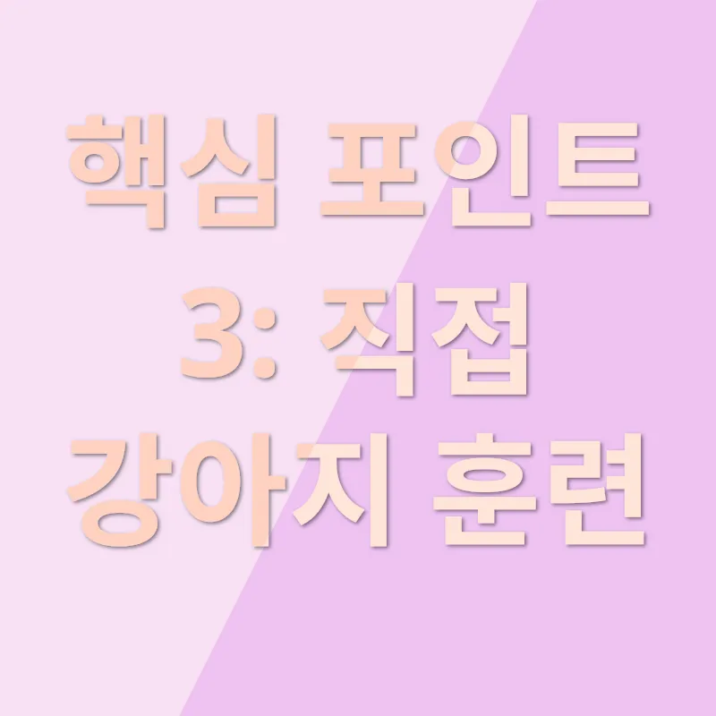 강아지훈련 자격증_3