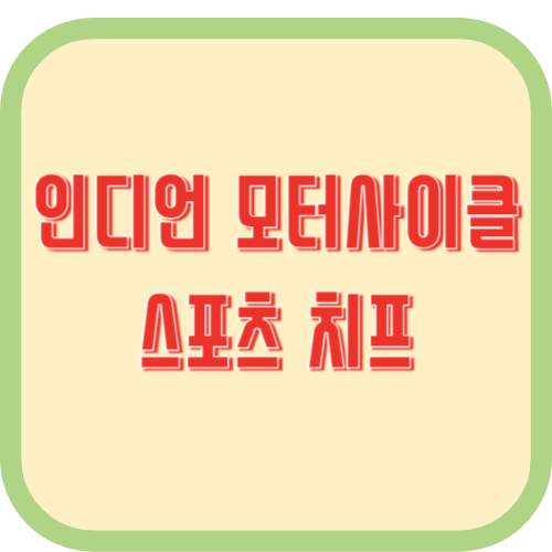 인디언 모터사이클-스포츠 치프