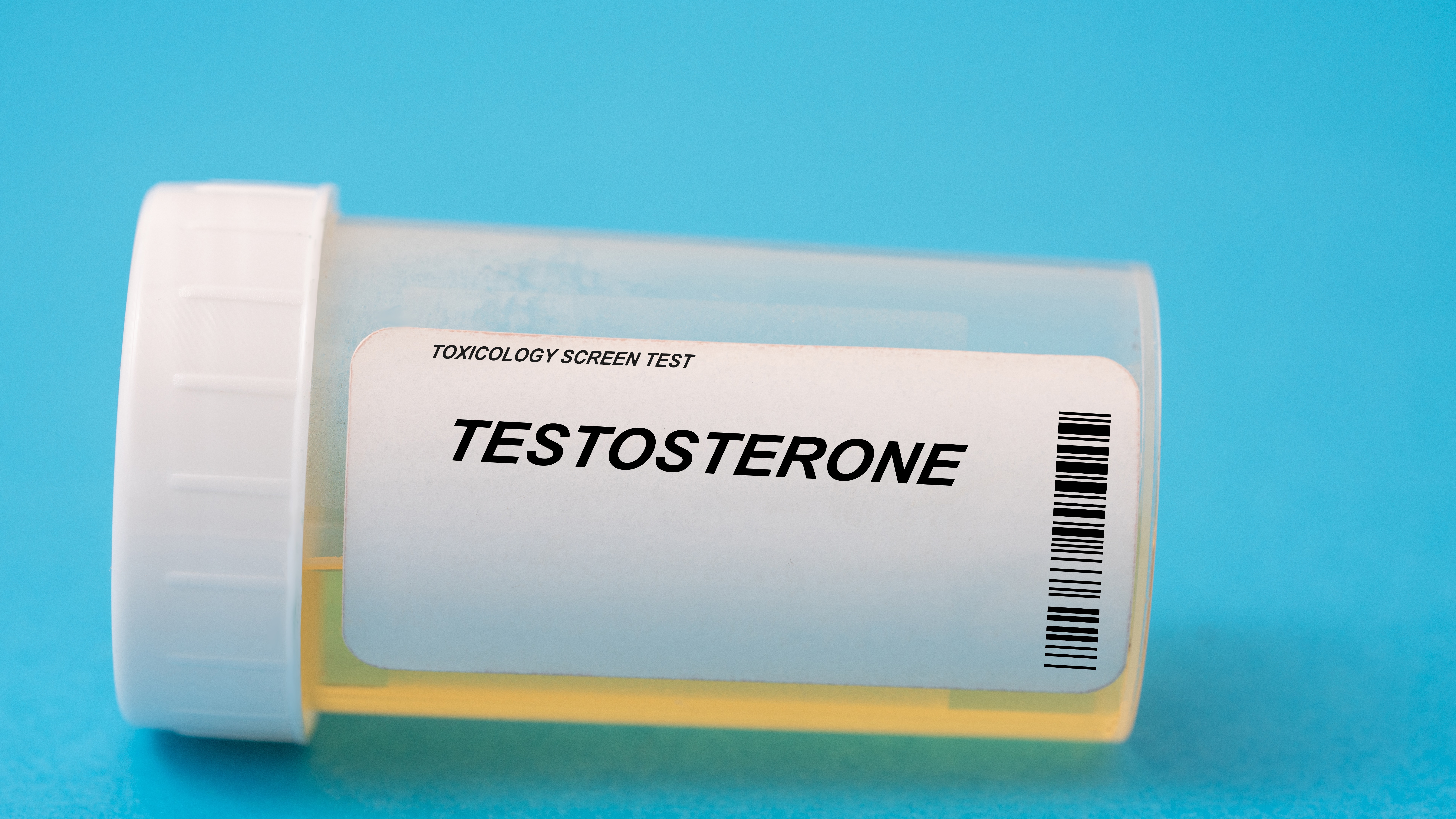 테스토스테론 호르몬과 단식