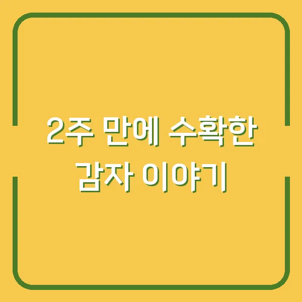 2주 만에 수확한 감자 이야기