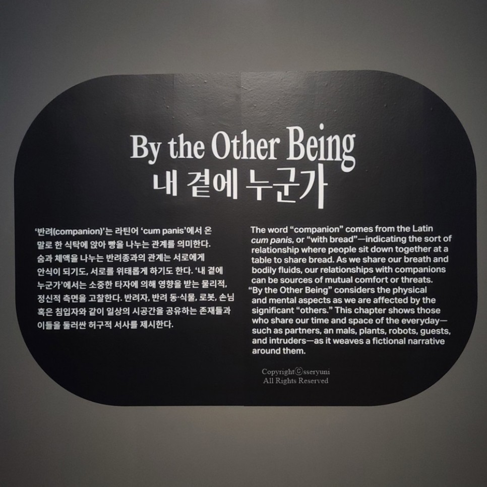 서울 10월 무료 전시회 국립현대미술관 10월 서울전시회 : MMCA 현대차 시리즈 2021 21