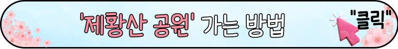 진해 군항제 벚꽃 명소 추천코스 베스트 6