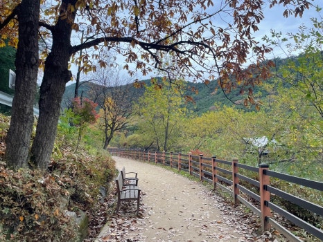 금오매점 이미지