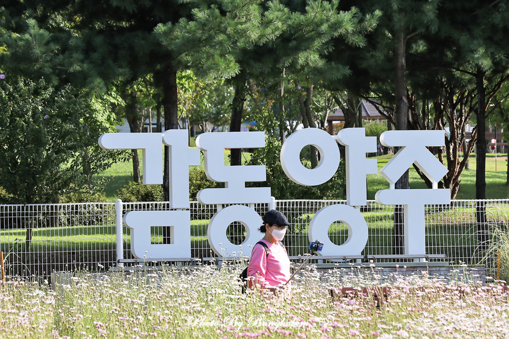  양주 나리농원 가을꽃밭으로 초대 합니다.