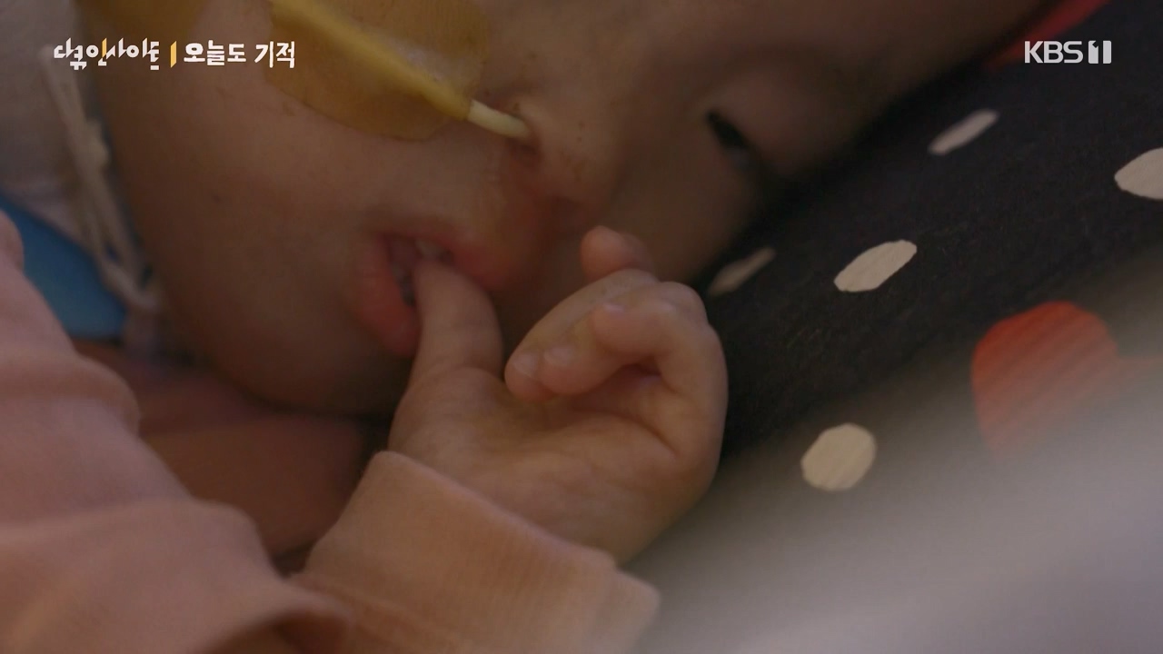 다큐 인사이트.E182.240230p-NEXT.mp4_20240301_175513.876.jpg