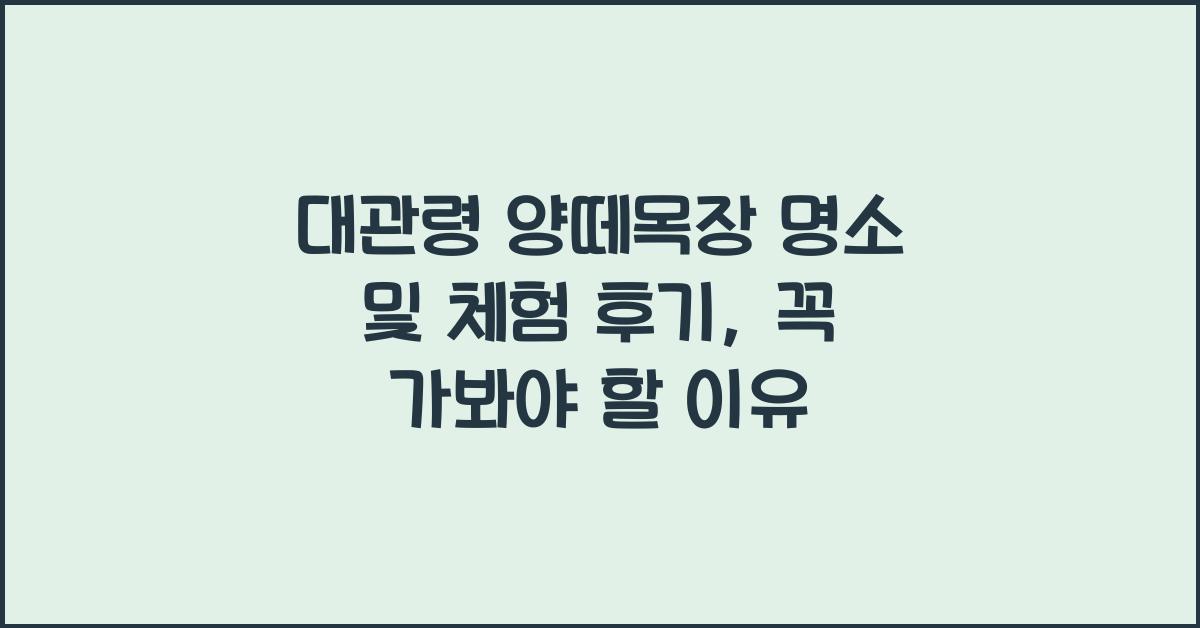 대관령 양떼목장 명소 및 체험 후기