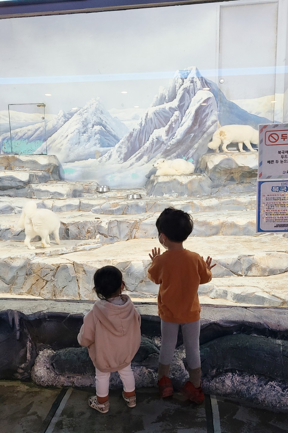 부천 아쿠아리움 부천 아쿠아리움먹이주기 체험 37