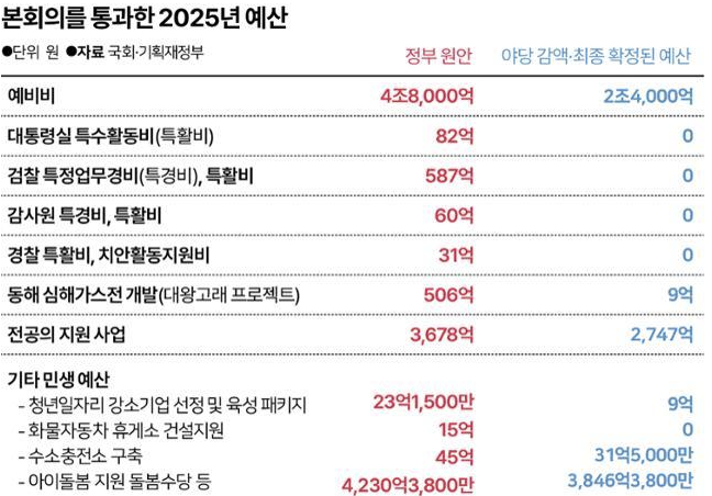 2025년 정부 예산 확정 삭감 예산 추경 가능성 금투세