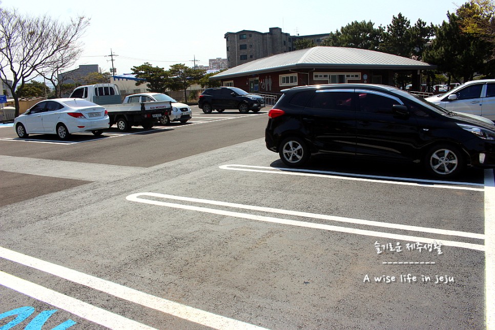 봄철 제주도 여행룩, 복장 제주 삼양동 유적 및 3