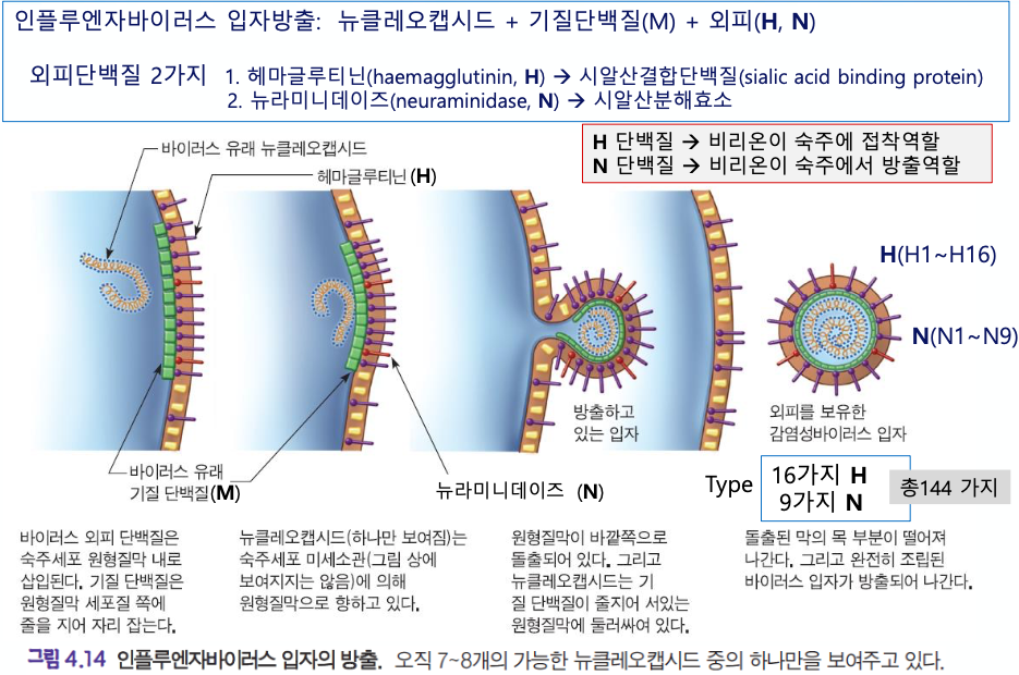 article thumbnail image