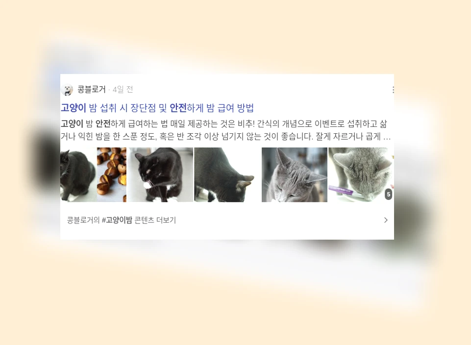 고양이 안전_2_subsection