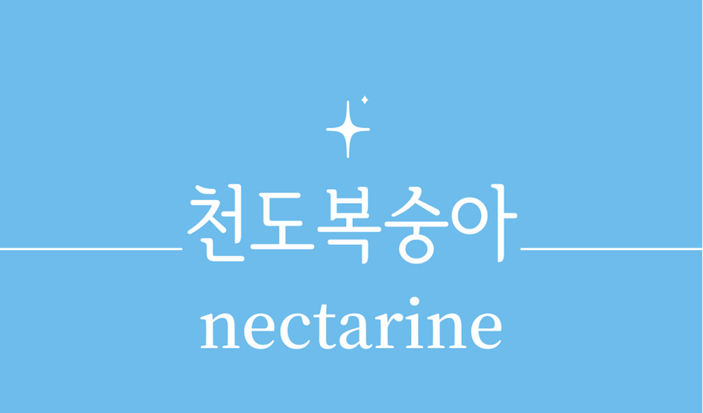 &#39;천도복숭아(nectarine)&#39;