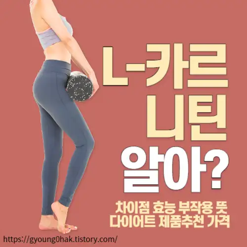 L-카르니틴