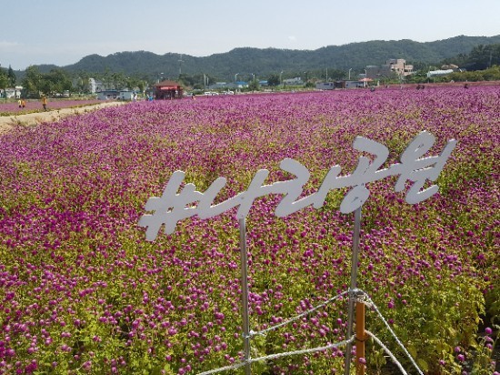 양주