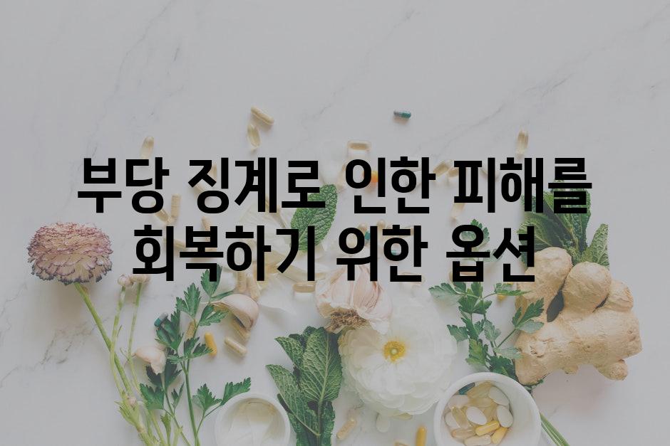 부당 징계로 인한 피해를 회복하기 위한 옵션