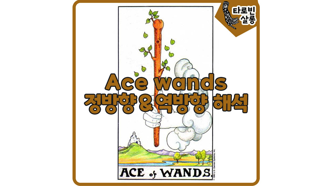  [웨이트 타로 해석] Ace of Wands 에이스 완드 정방향 & 역방향 의미