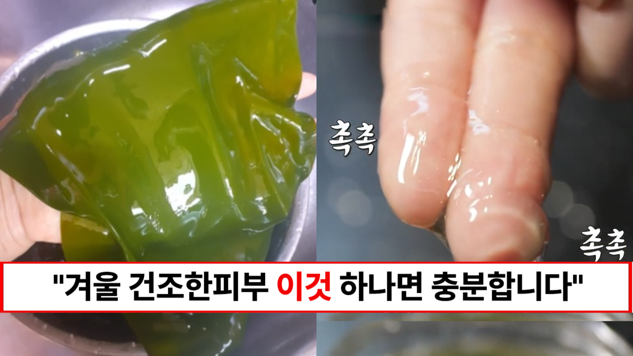 “겨울철 피부관리 다시마 하나면 끝입니다” 집에서 만드는 천연 수분폭탄 다시마 보습크림 만드는 법