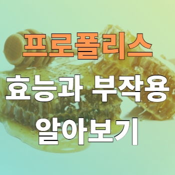  [꿀벌] 프로폴리스의 효능과 부작용에 대해서 알아보기