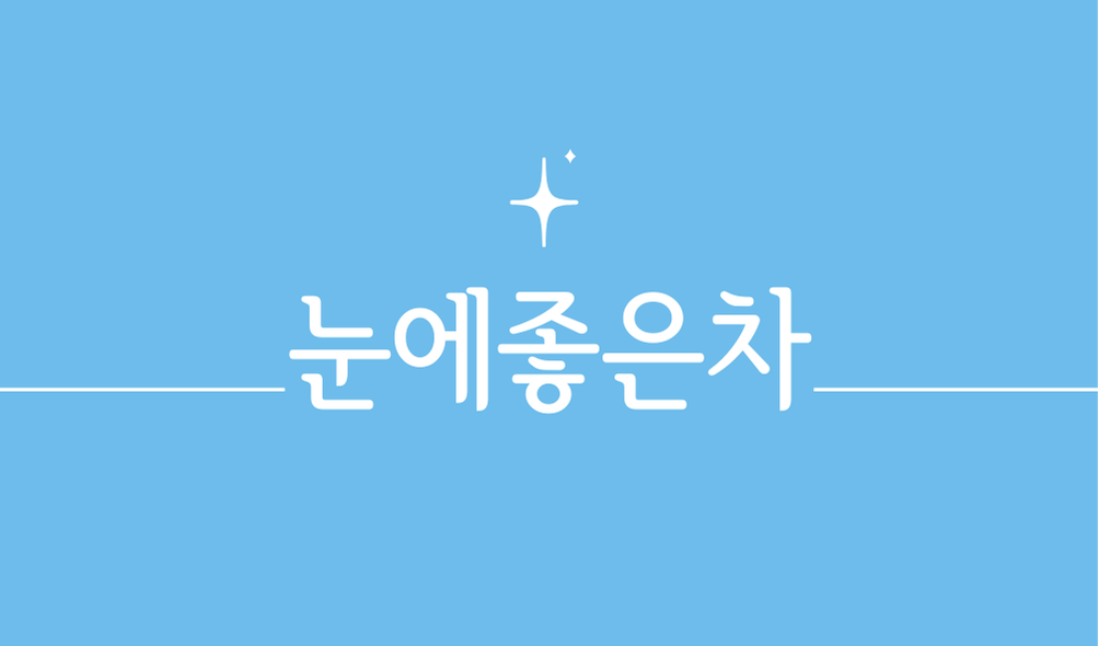 '눈에좋은차'