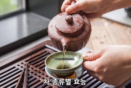  차 종류별 효능