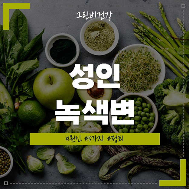 성인 녹색 의자