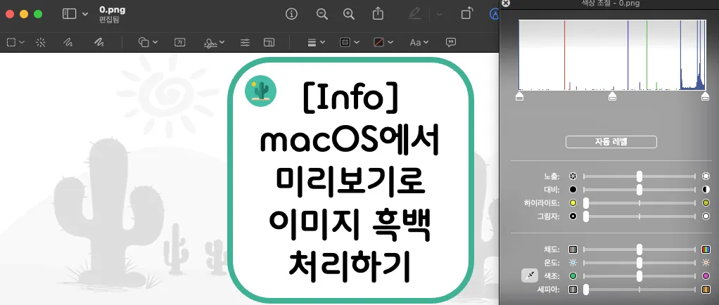 [Info] macOS에서 미리보기로 이미지 흑백 처리하기