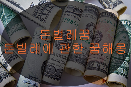 돈벌레에 관한 꿈해몽