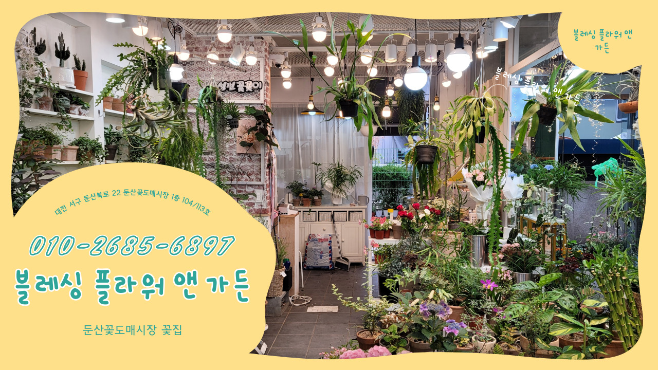 블레싱플라워 이미지