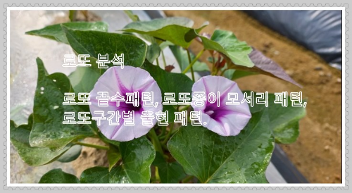 로또예상번호 분석