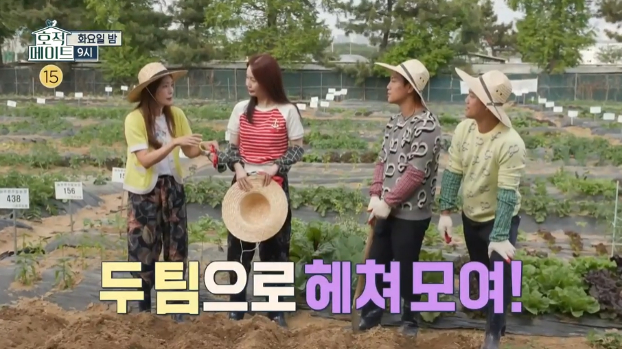 정은농장 이미지