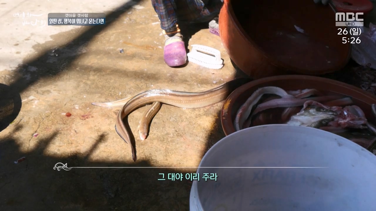 MBC 네트워크 특선 푸른백세 어영차 바다야.E1650.231127p-NEXT.mp4_20231202_171534.271.jpg