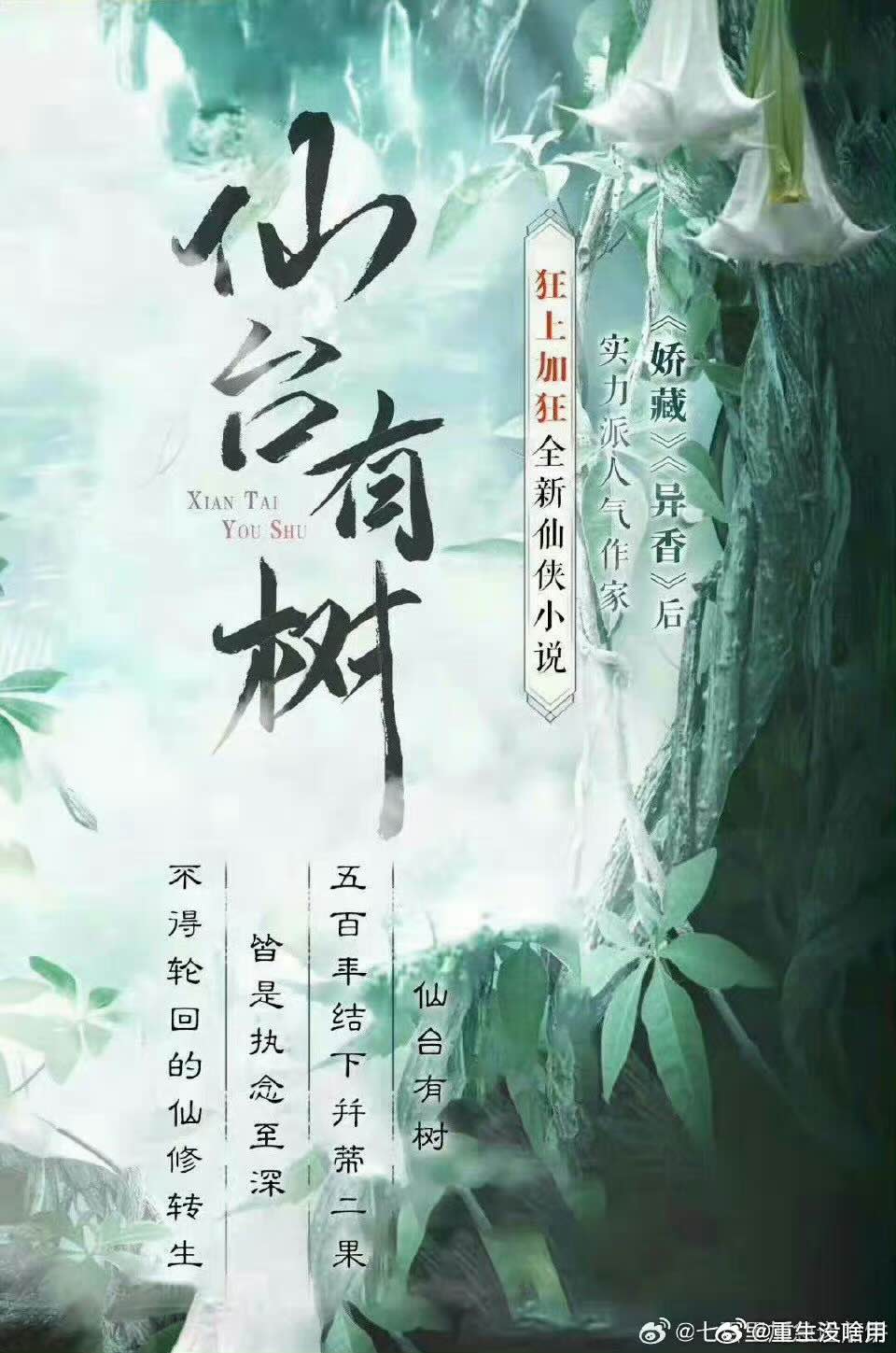  선태유수(仙台有树) 남주가 ‘백경정’에서 ‘등위’로..!