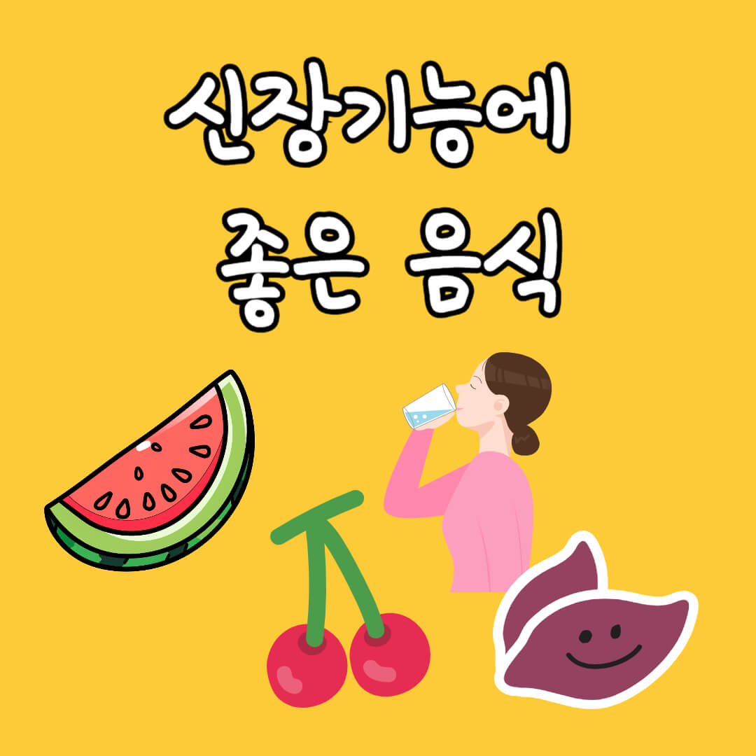 신장 기능에 좋은 음식 및 신장 건강 관리 팁