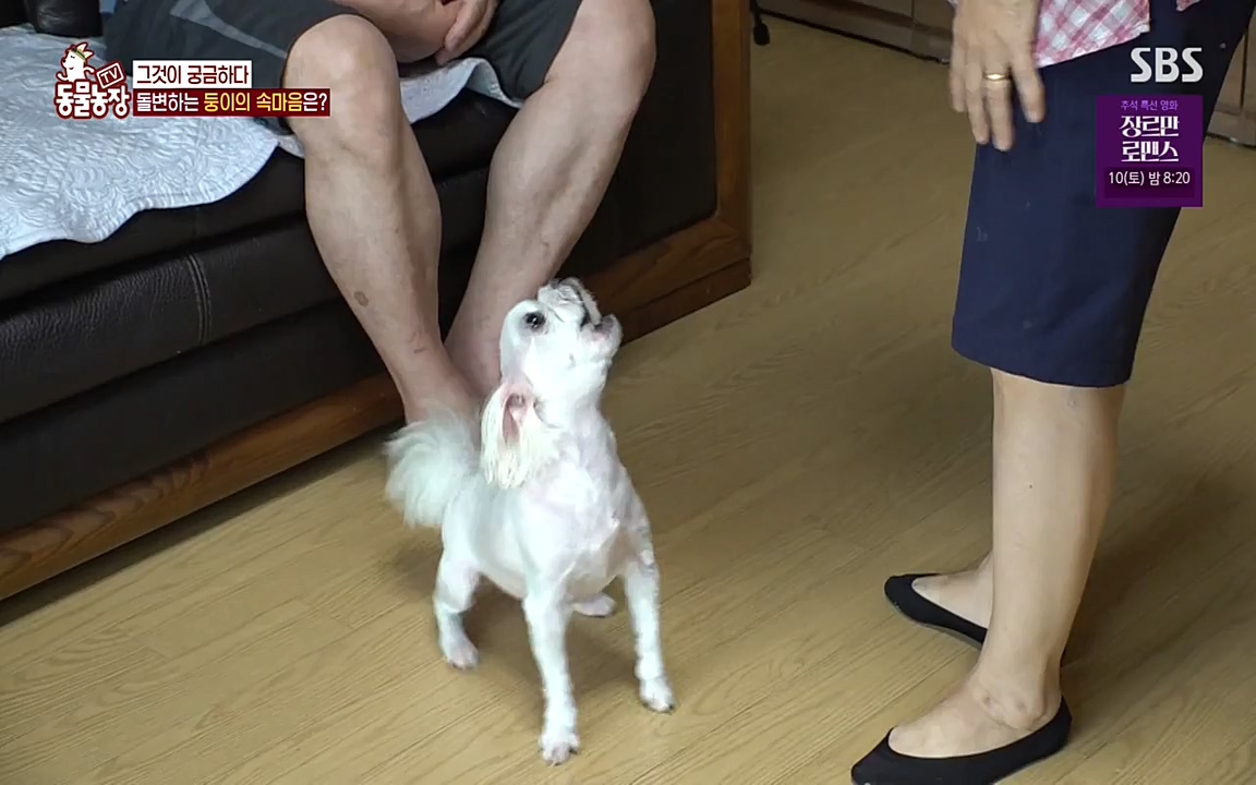 TV 동물농장.E1085.220905p-NEXT.mp4_20220904_173529.869.jpg