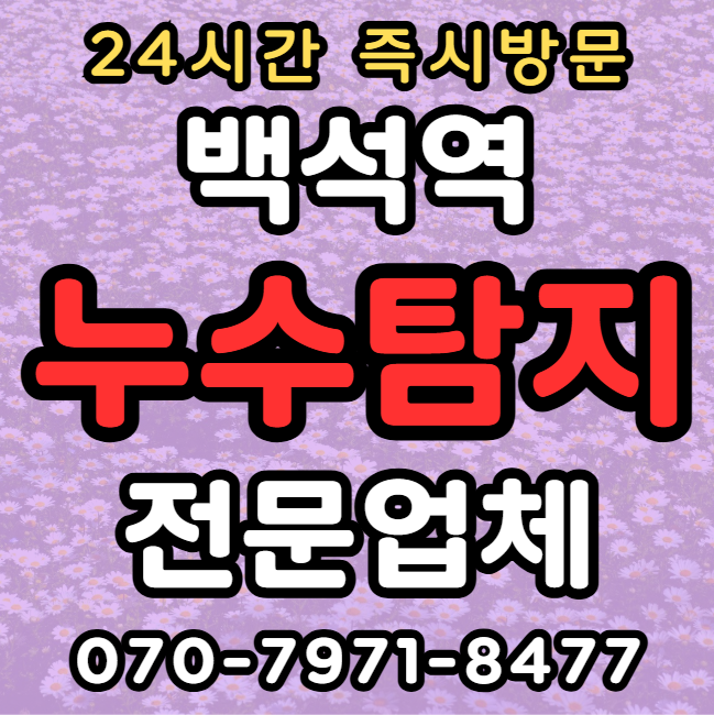 일산 백석역 상가 식당 주방 누수1