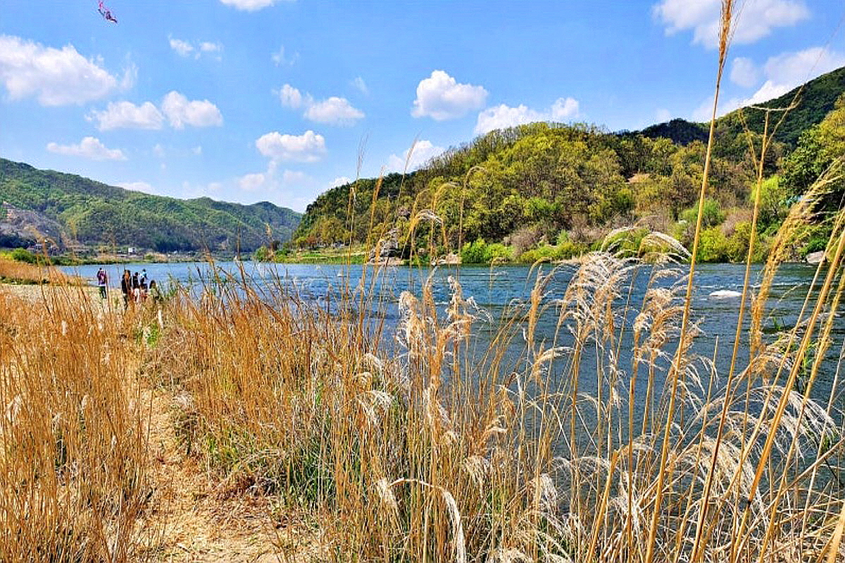 충주 비내섬과 비내길