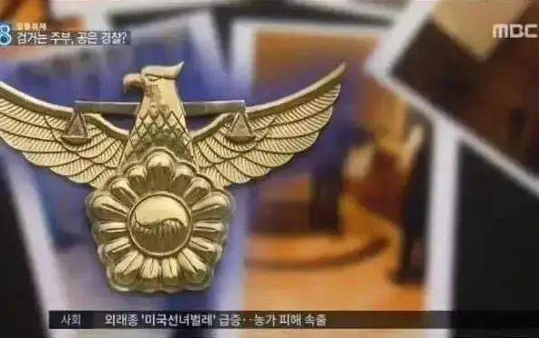 영화 시민덕희 실화 정보