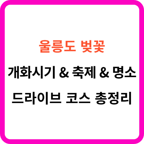 울릉도 벚꽃 개화시기 명소 드라이브 코스 가이드