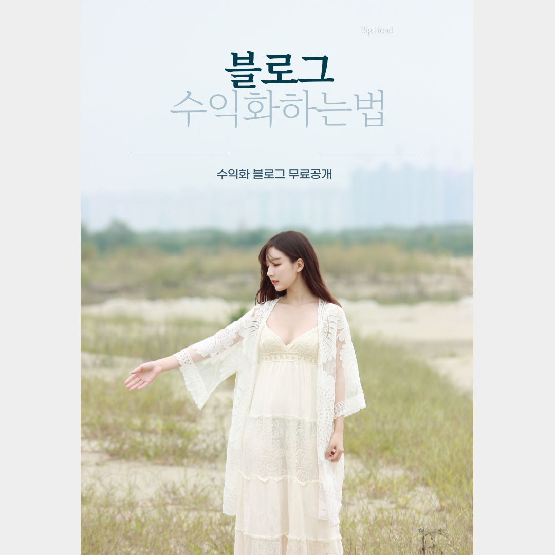  수익형 블로그 수익화 구조 4가지 플러스 알파 무료공개