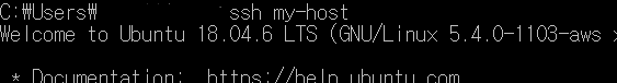 host 설정 정보로 ssh 접속 완료