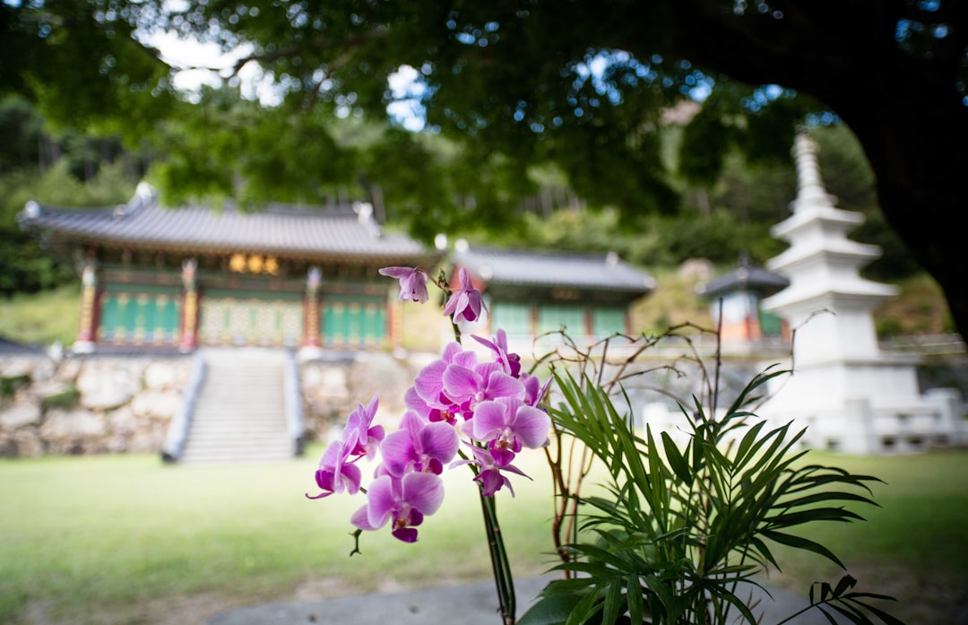 Geoje Island