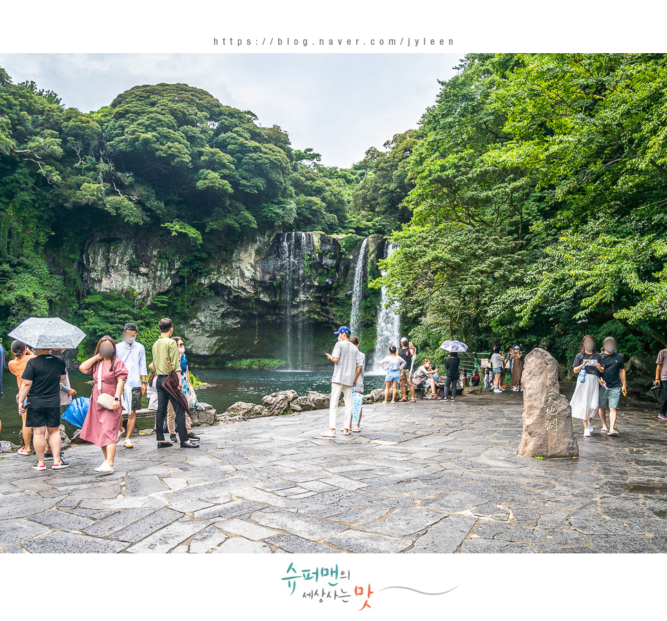 승합차렌트 제주도 21