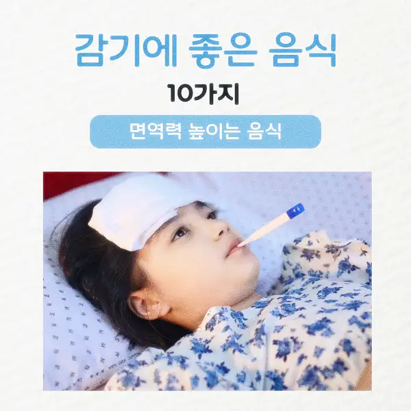 감기에 좋은 음식