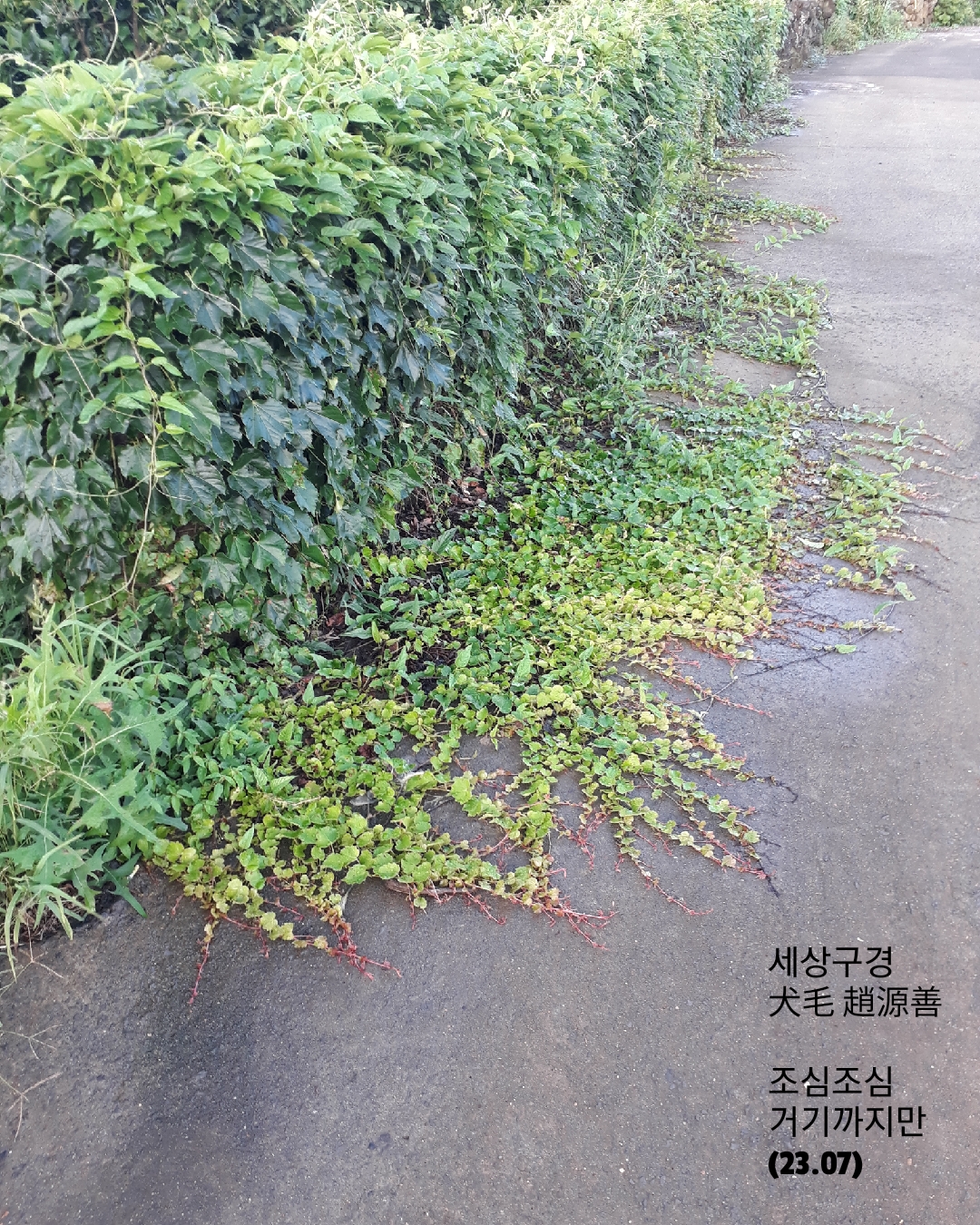 세상구경 이미지
