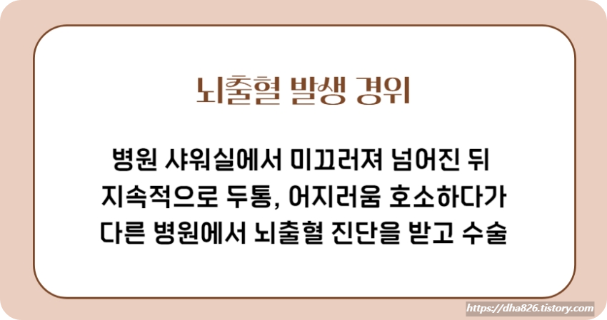 뇌출혈 발생 사건