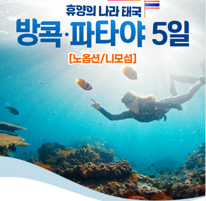 신세계여행사 이미지