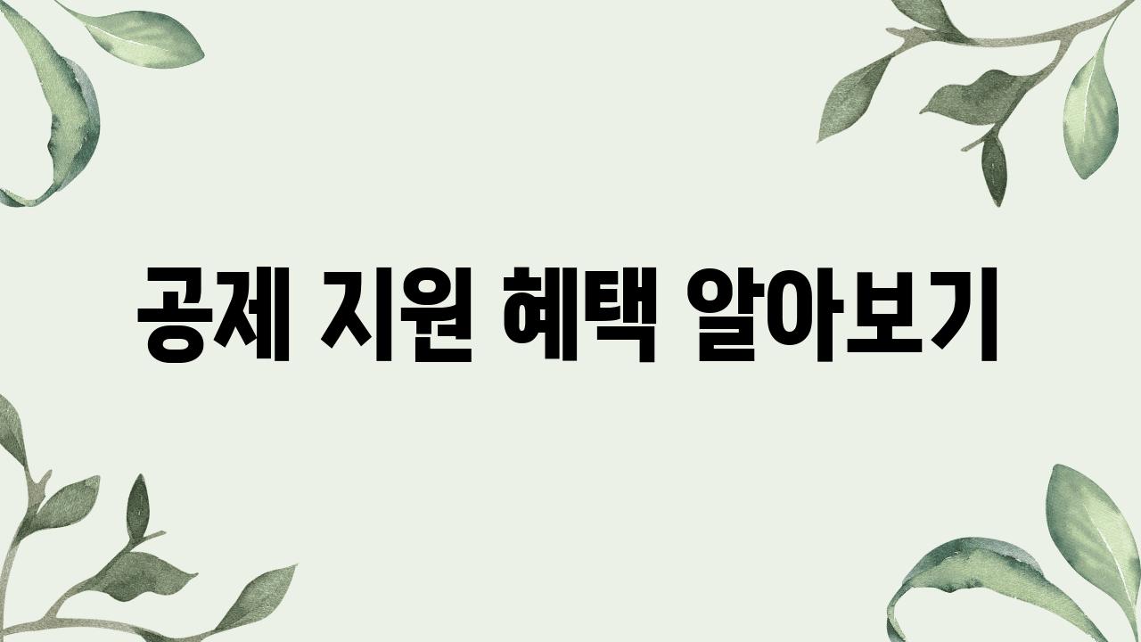 공제 지원 혜택 알아보기